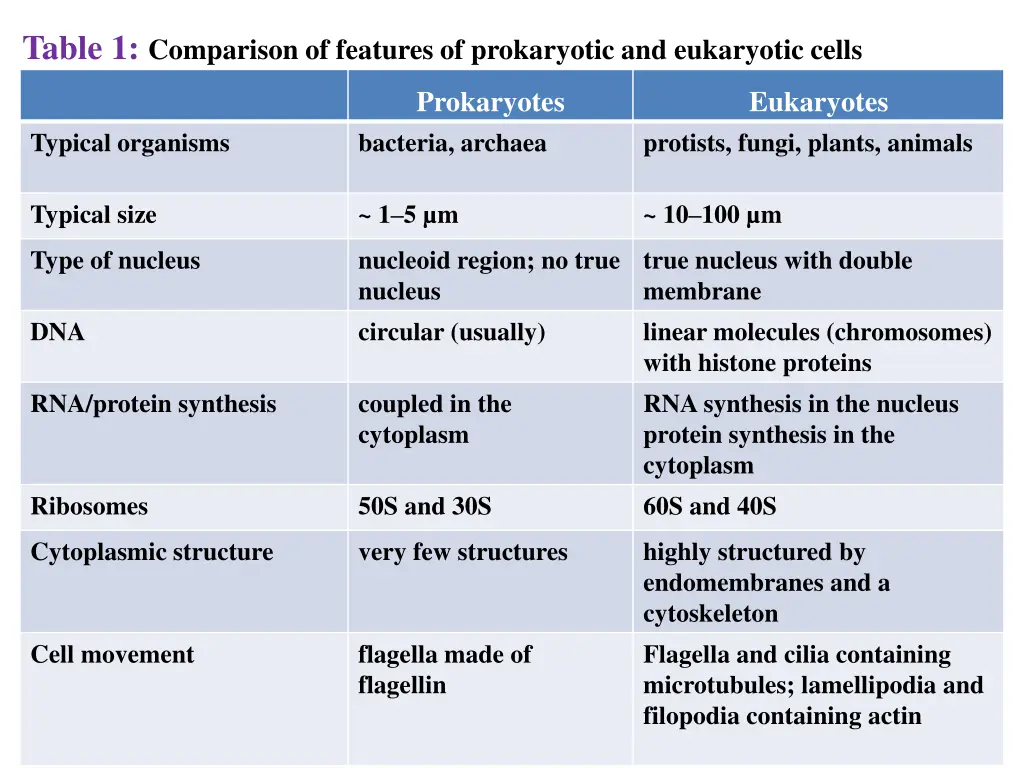 table 1 comparison of features of prokaryotic