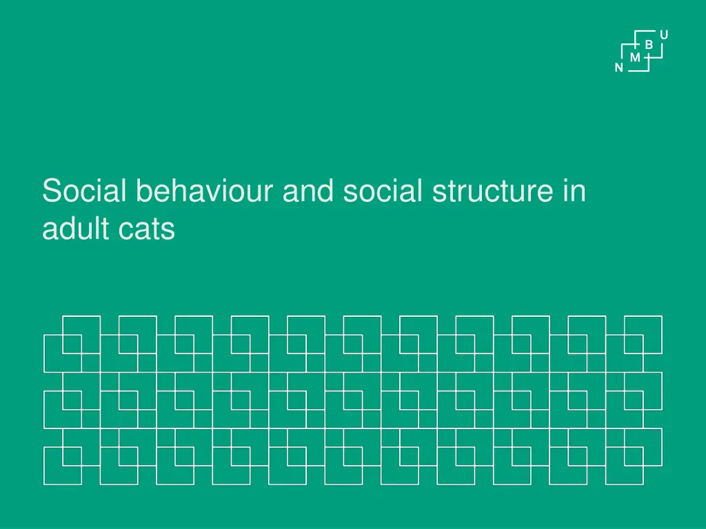 social behaviour and social structure in adult