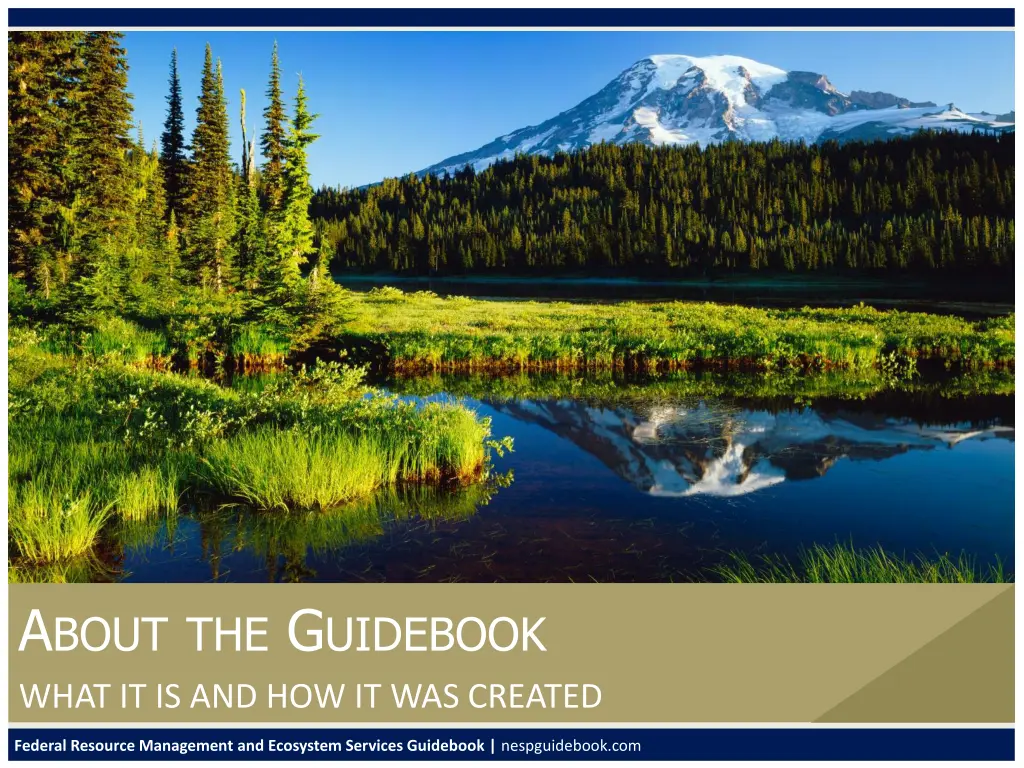 a bout the g uidebook what