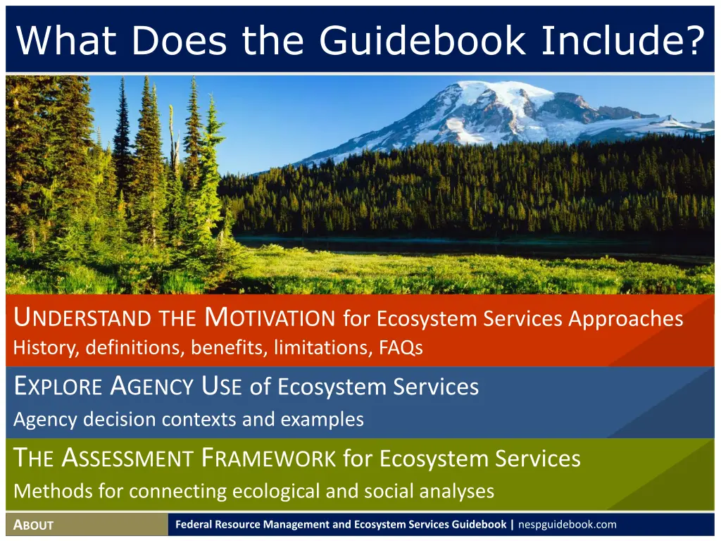 what does the guidebook include