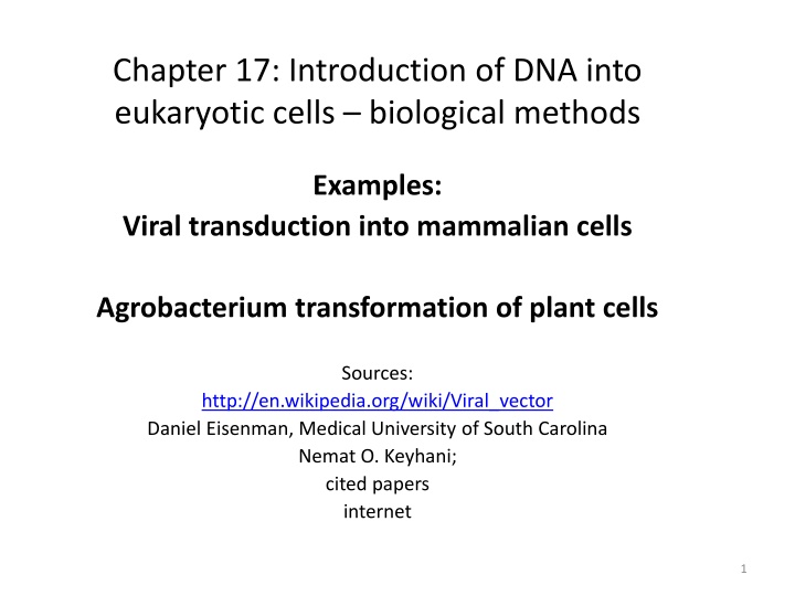 chapter 17 introduction of dna into eukaryotic
