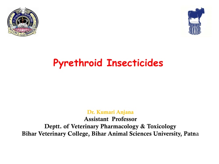 pyrethroid insecticides