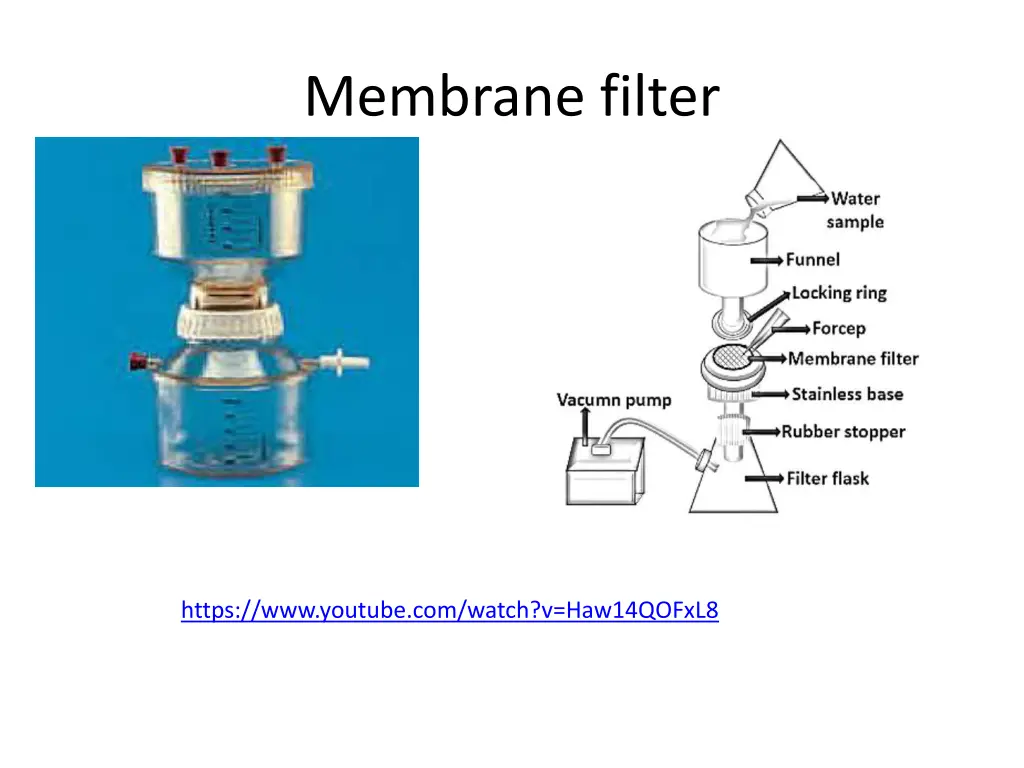 membrane filter