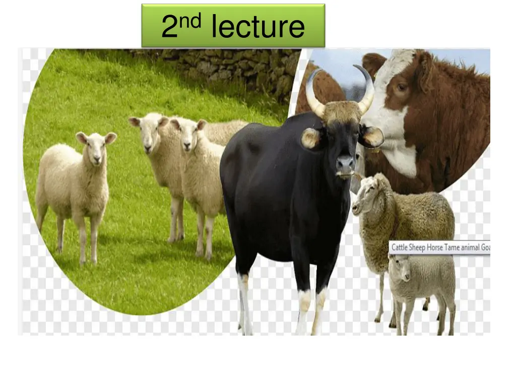 2 nd lecture