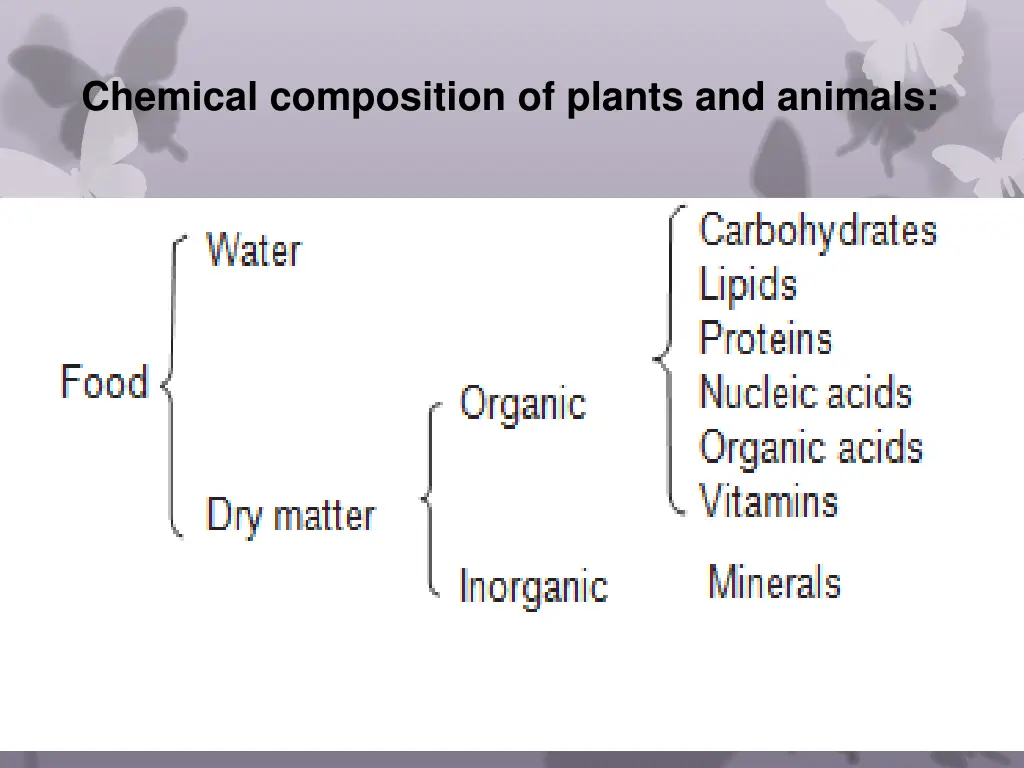 chemical composition of plants and animals