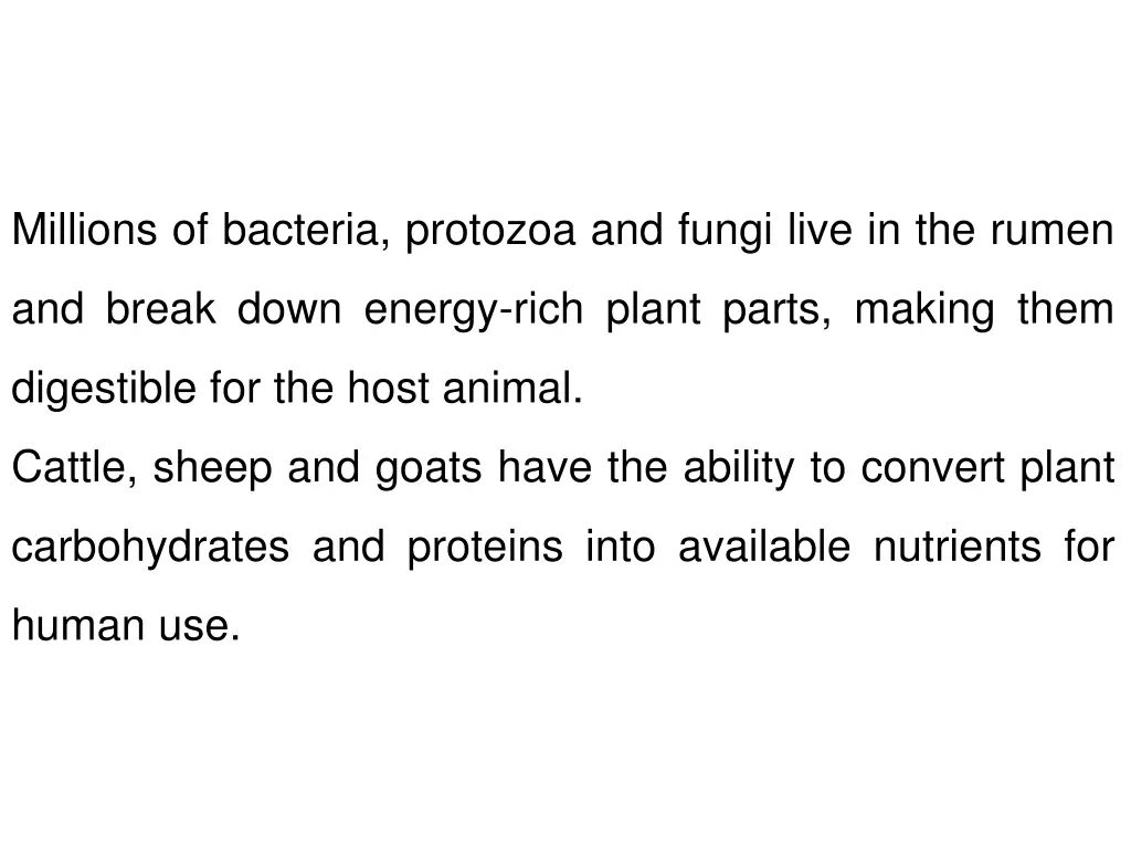millions of bacteria protozoa and fungi live
