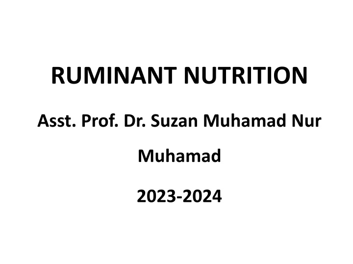 ruminant nutrition
