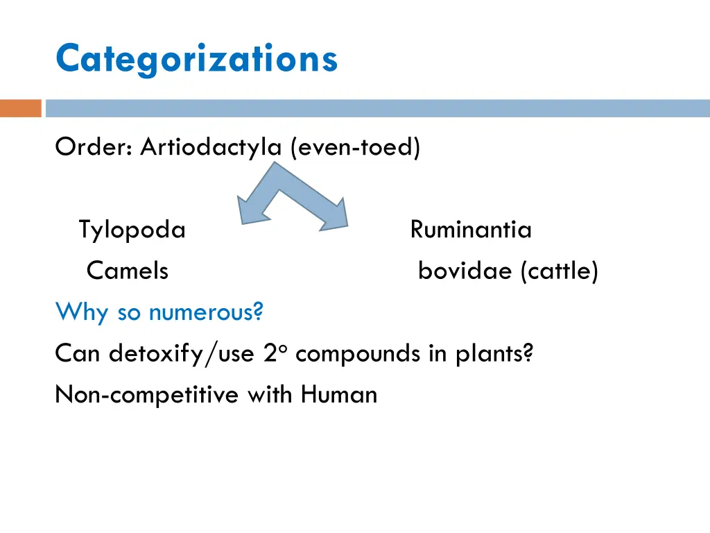 categorizations