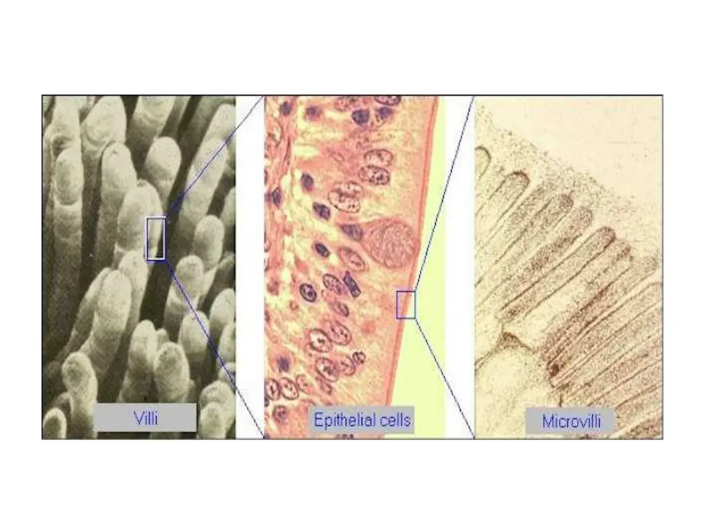 slide24