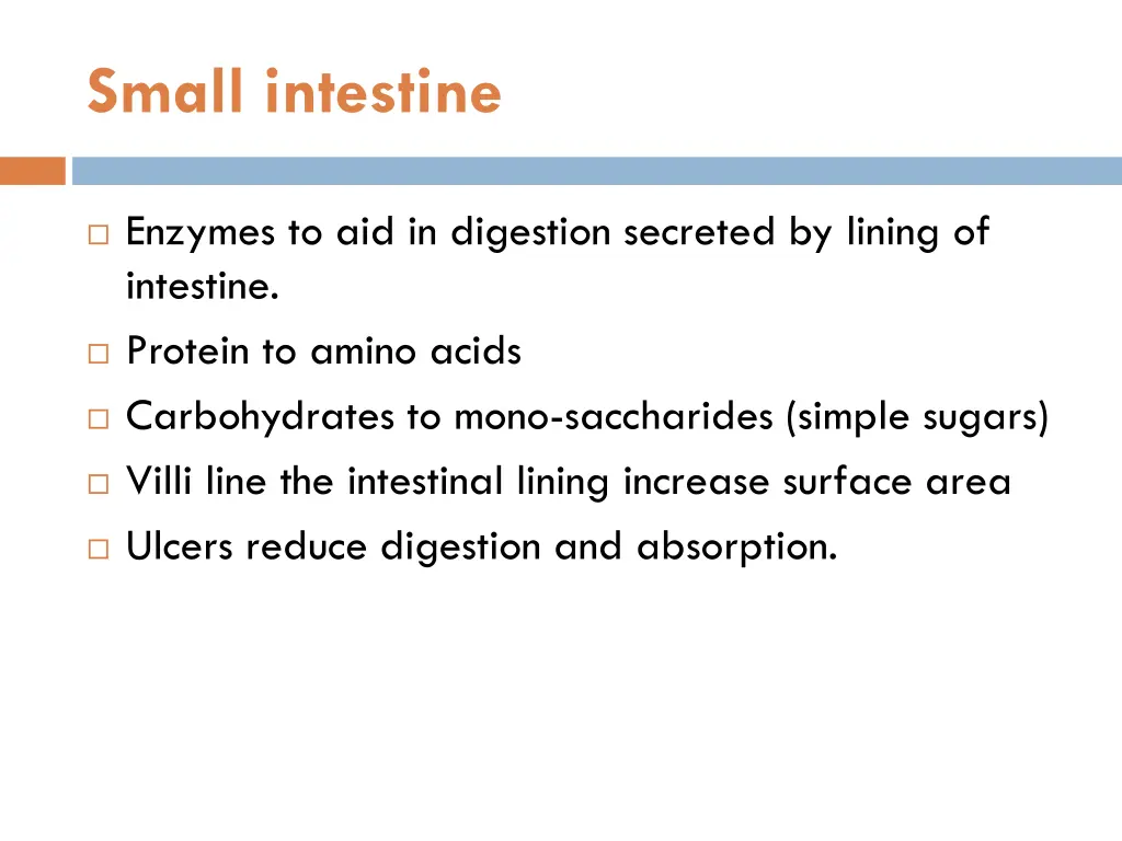 small intestine 1