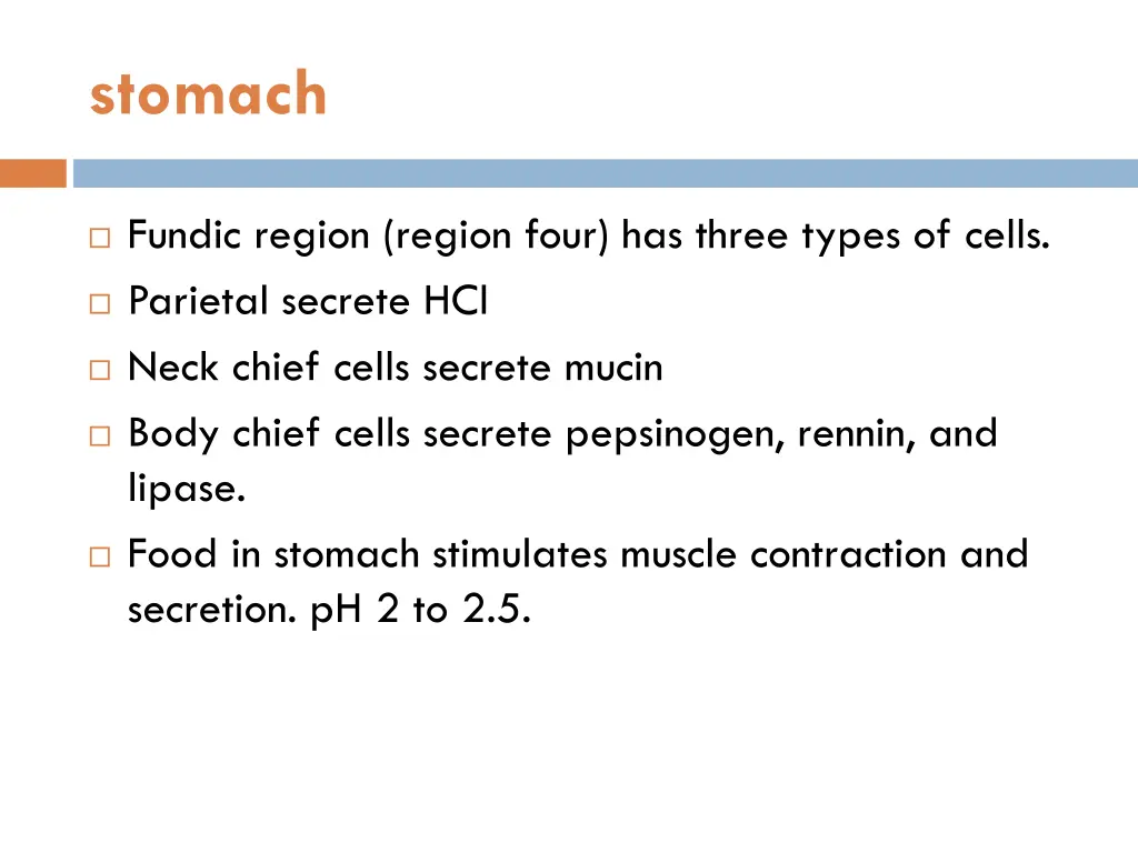 stomach 1