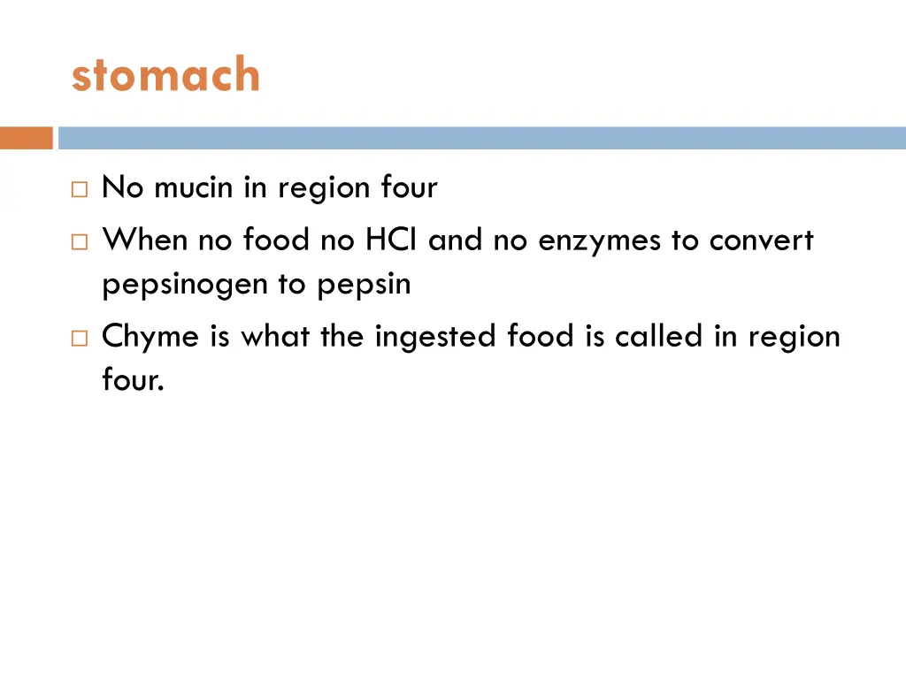 stomach 2