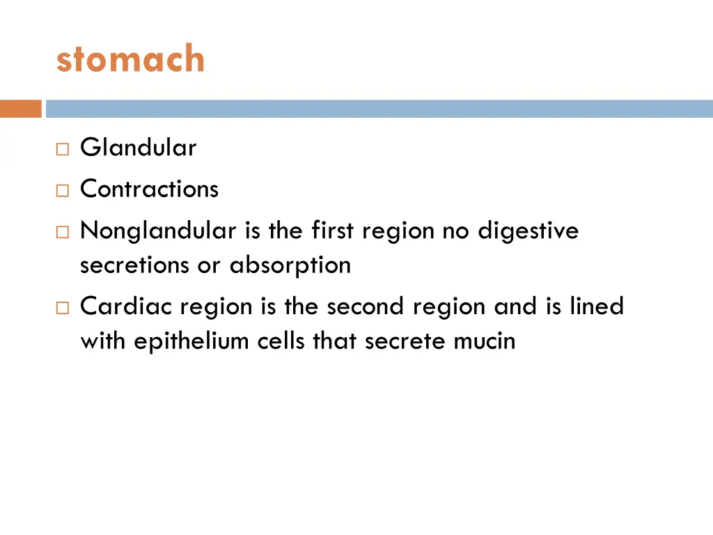 stomach