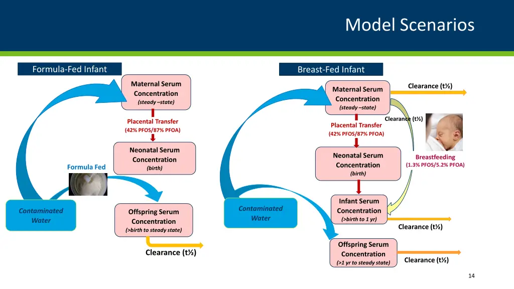 model scenarios