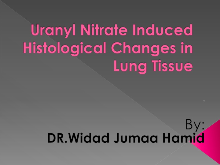 uranyl nitrate induced histological changes in
