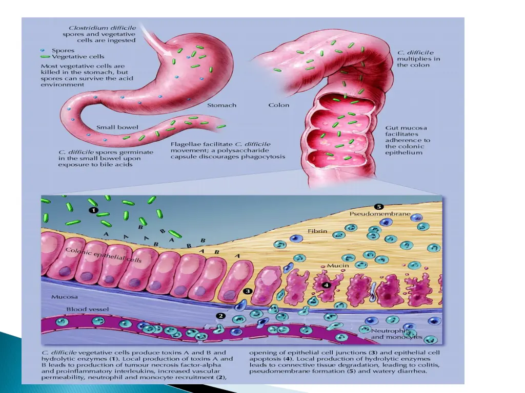 slide33