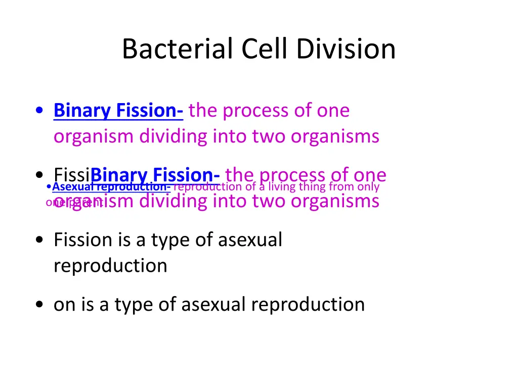 bacterial cell division