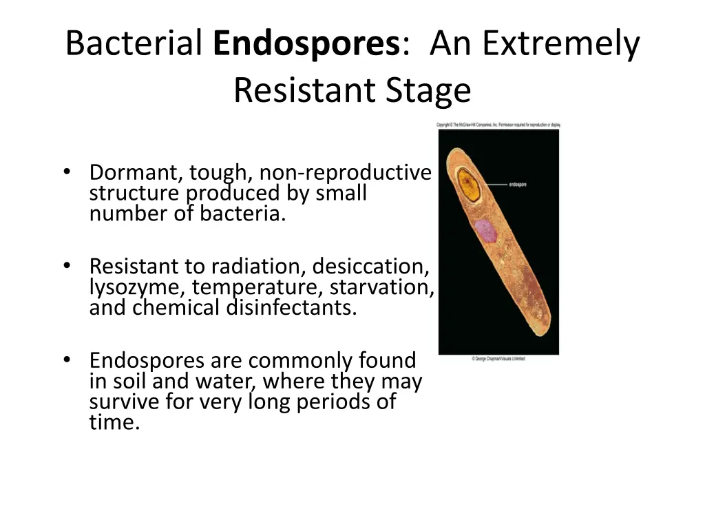 bacterial endospores an extremely resistant stage