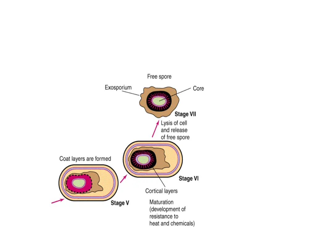 slide20