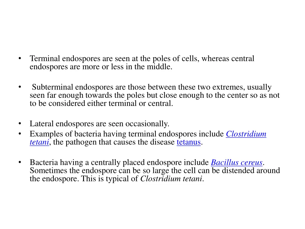 terminal endospores are seen at the poles