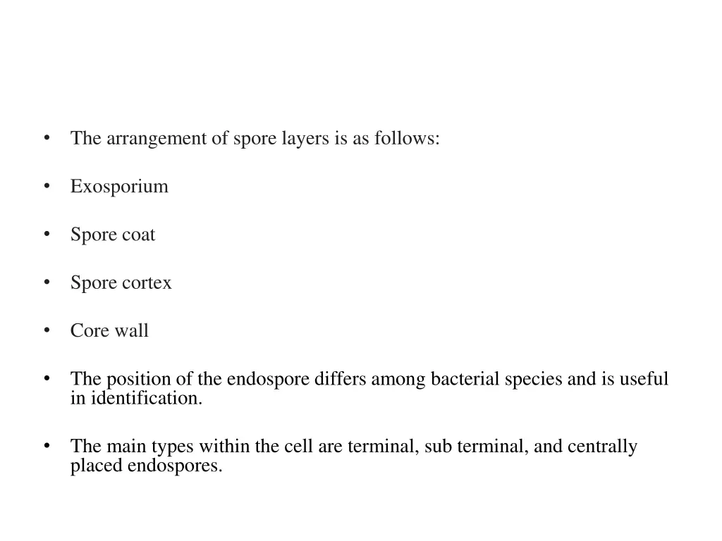 the arrangement of spore layers is as follows