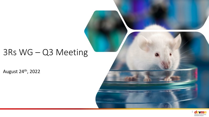 3rs wg q3 meeting