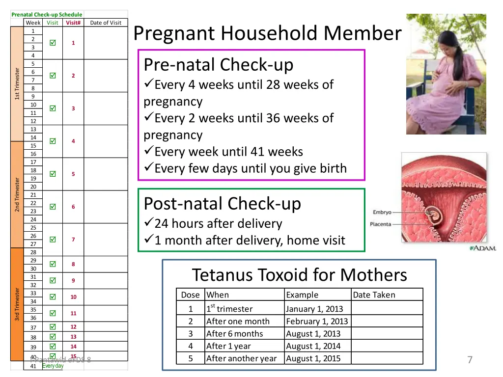 prenatal check up schedule week visit
