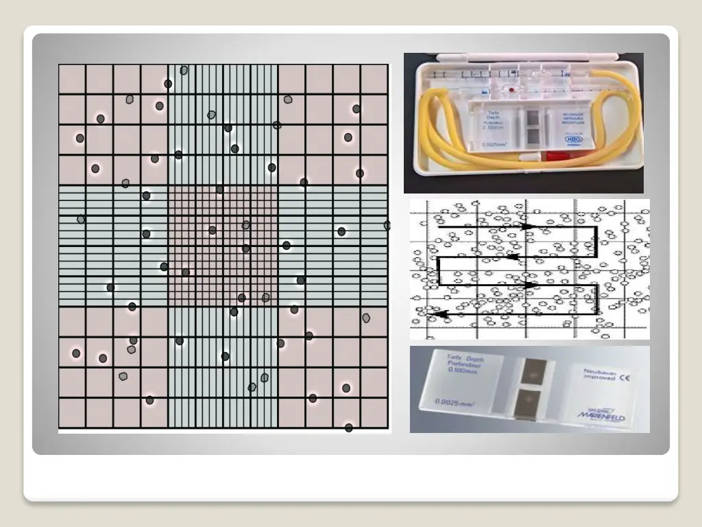 slide3
