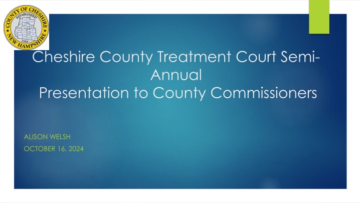 cheshire county treatment court semi annual
