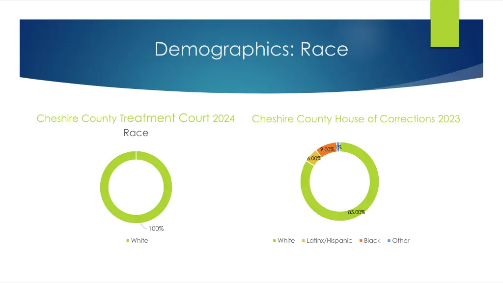 demographics race