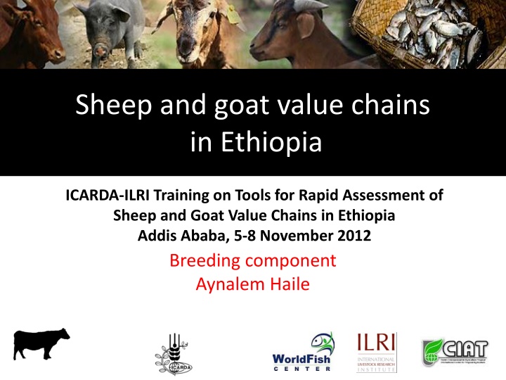 sheep and goat value chains in ethiopia