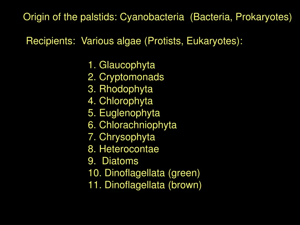 origin of the palstids cyanobacteria bacteria