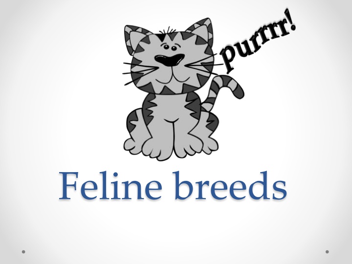 feline breeds