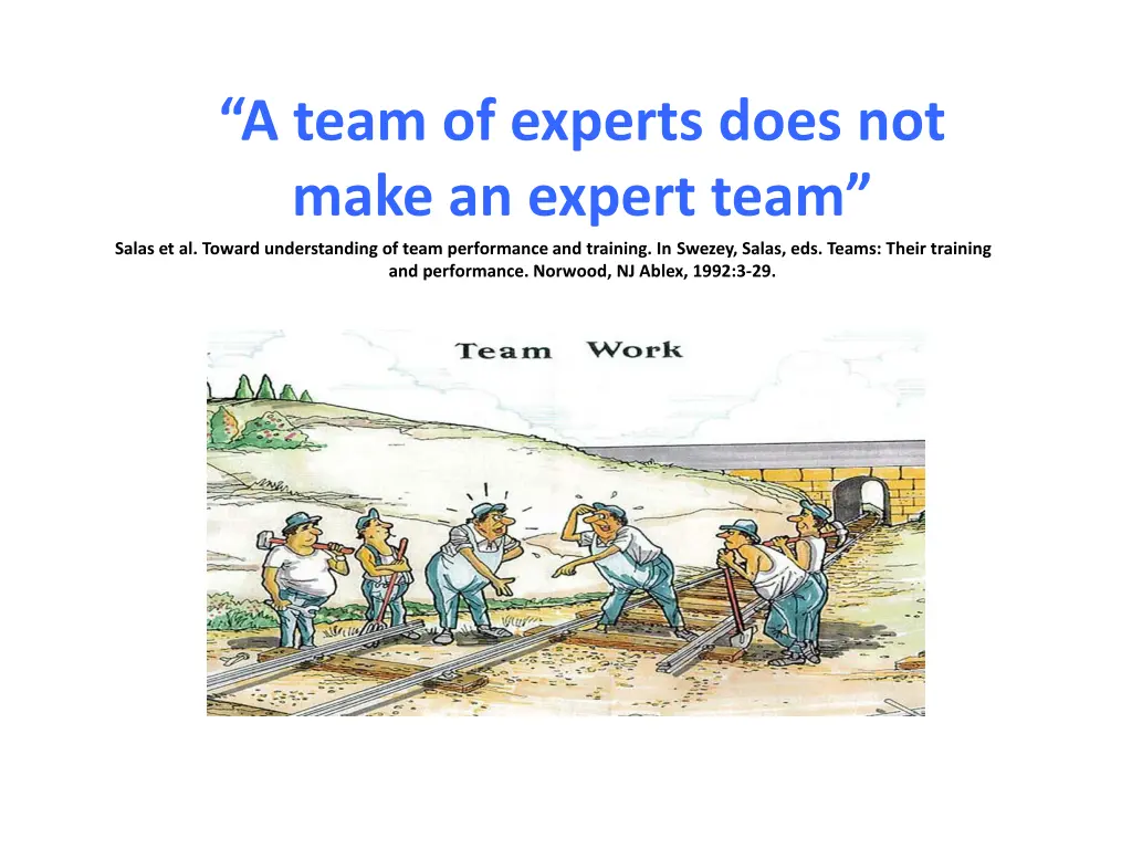 a team of experts does not make an expert team