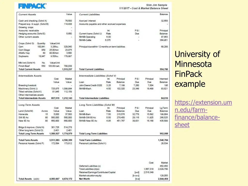 university of minnesota finpack example