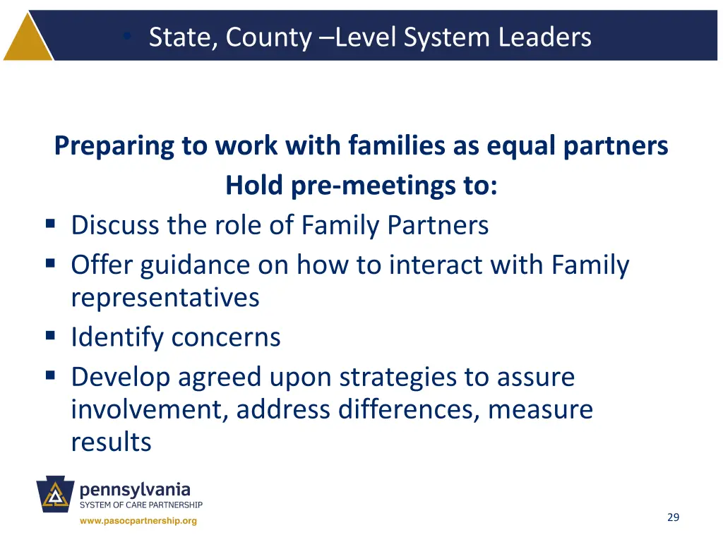state county level system leaders