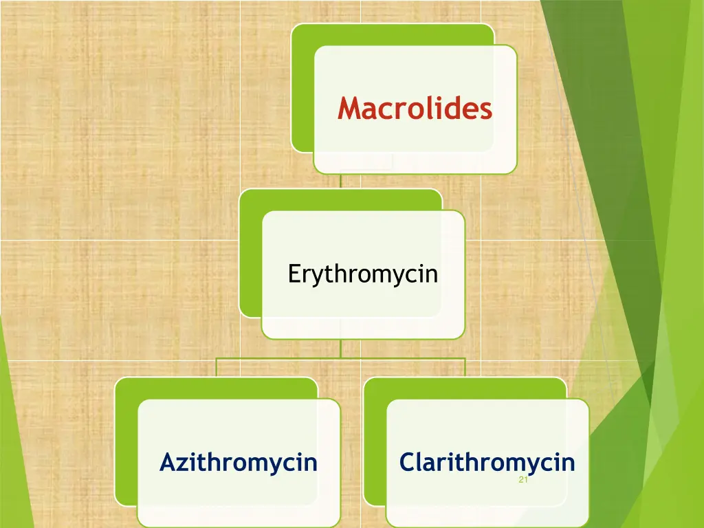 macrolides