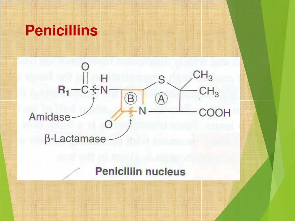 penicillins