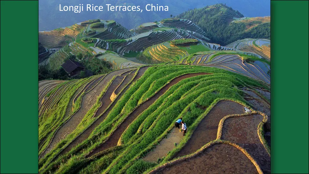 longji rice terraces china