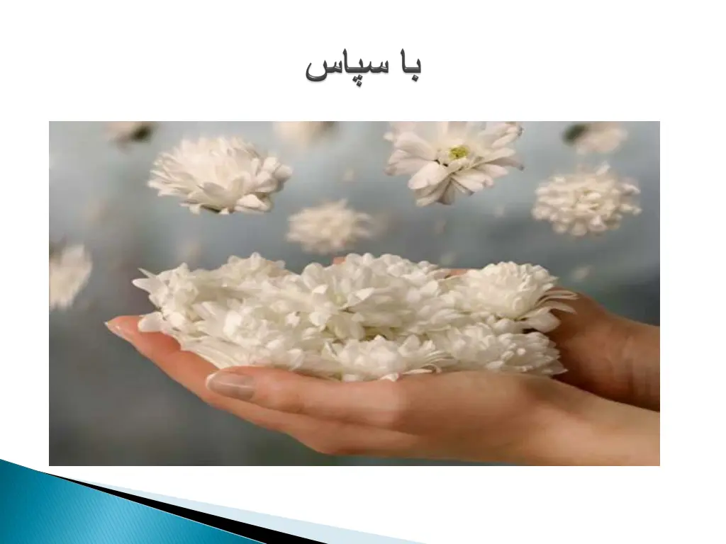 slide15