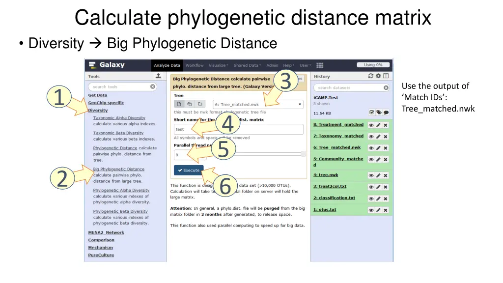 calculate phylogenetic distance matrix diversity