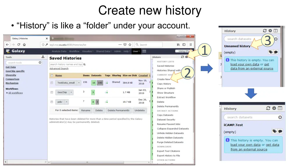create new history