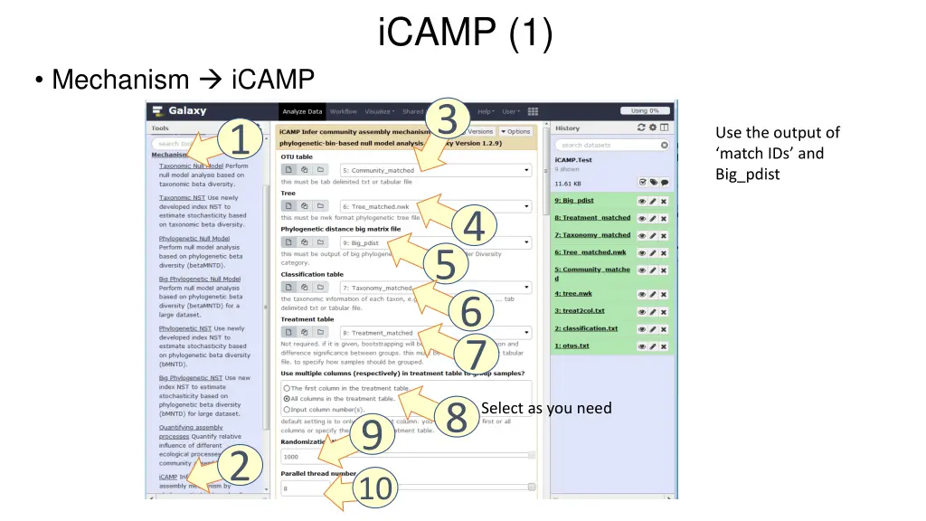 icamp 1