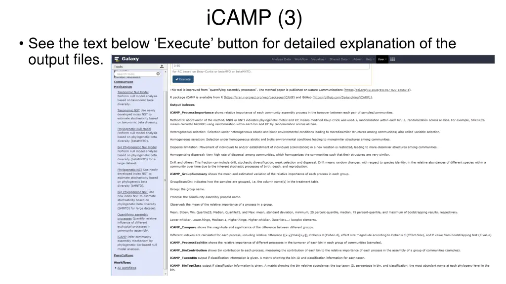 icamp 3