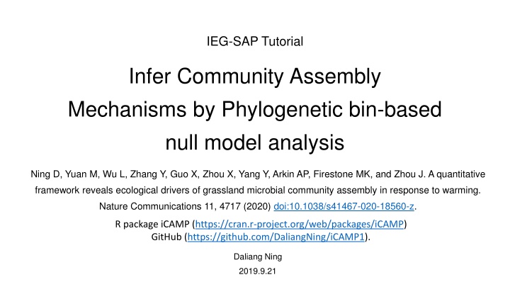 ieg sap tutorial