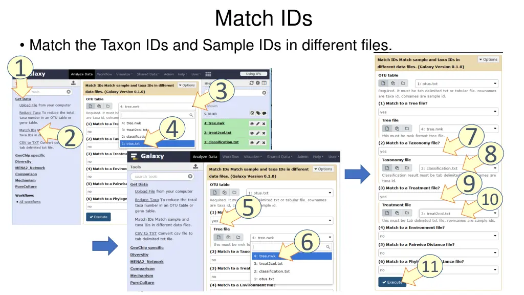 match ids