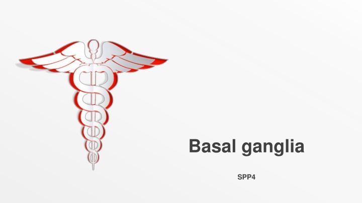 basal ganglia