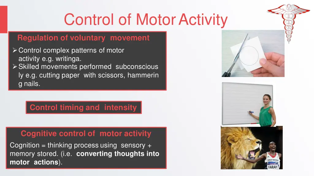 control of motoractivity