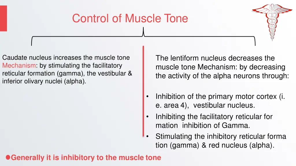 control of muscle tone