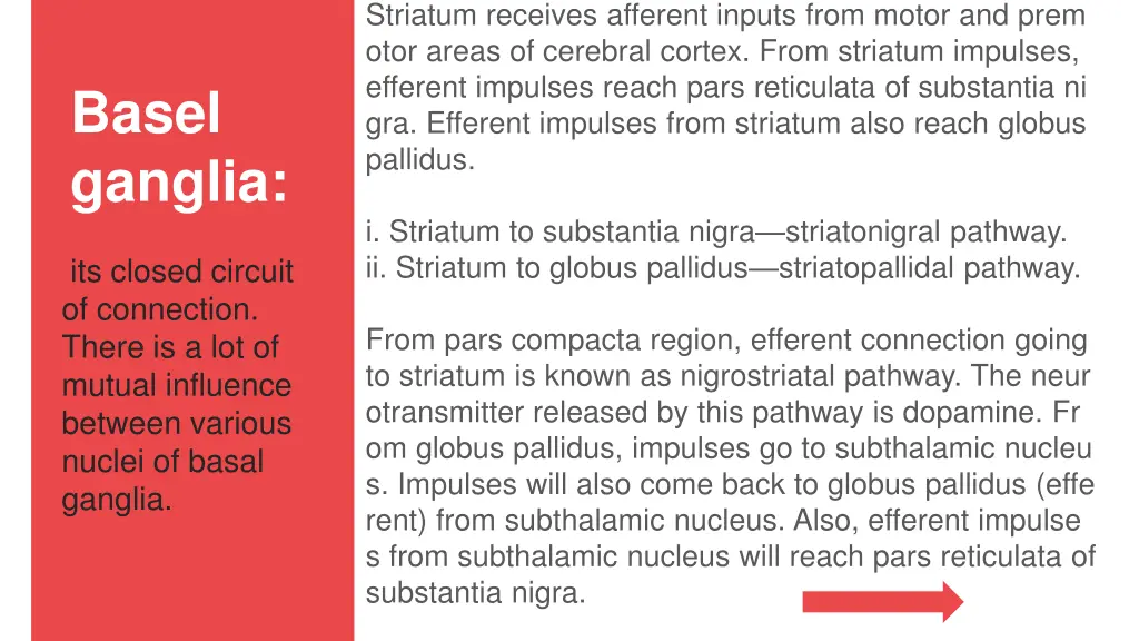 striatum receives afferent inputs from motor